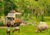 Trọn bộ kinh nghiệm đi Vinpearl Safari cho khách du lịch Phú Quốc 2023